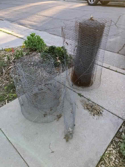 Photo of free Chicken wire (Near South) #1