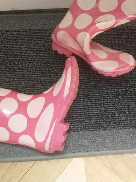 Photo of free Wellies, Adult Size 7 (University Area RG6) #3