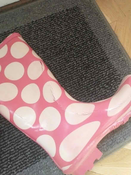 Photo of free Wellies, Adult Size 7 (University Area RG6) #4