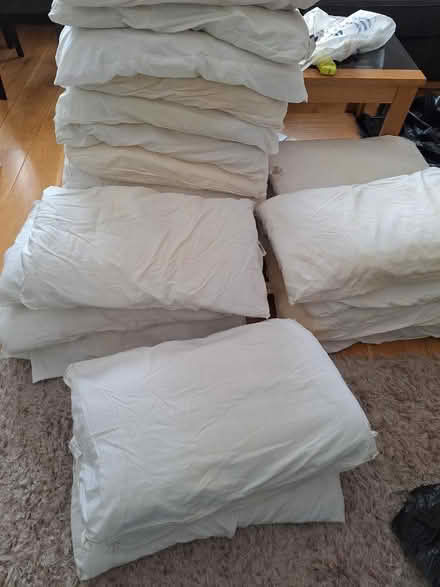 Photo of free Pillows (Borehamwood WD6) #1
