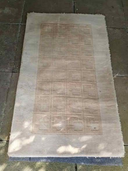 Photo of free Tan rug - collect 12 May (Little Bookham KT23) #1