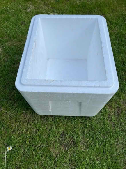 Photo of free Polystyrene Cool Box (Stevenage SG1)