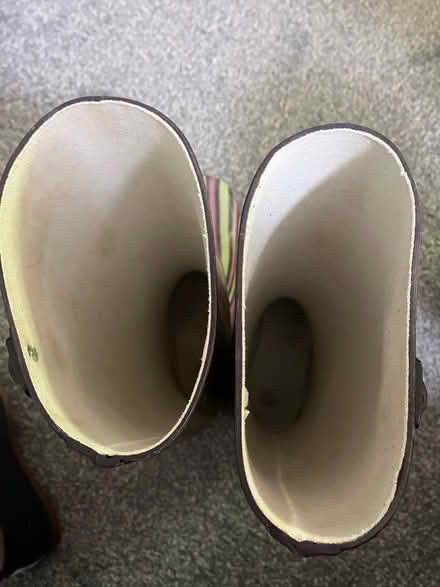 Photo of free Ladies Wellies (Moodiesburn) #3