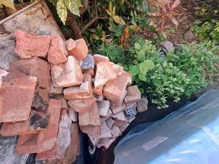 Photo of free Pile of half bricks etc (WR14 Malvern Link) #1