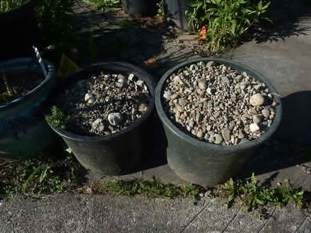 Photo of free rocks (Southeast Bothell) #1