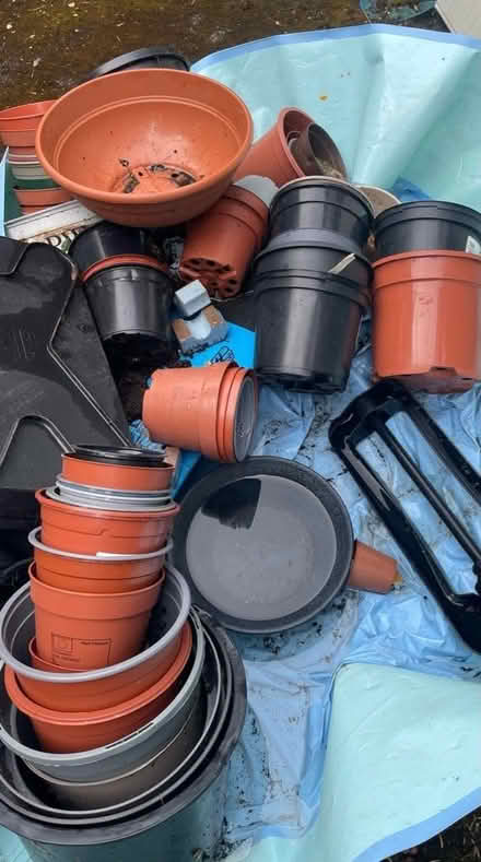Photo of free Plant pots (Liss) #1