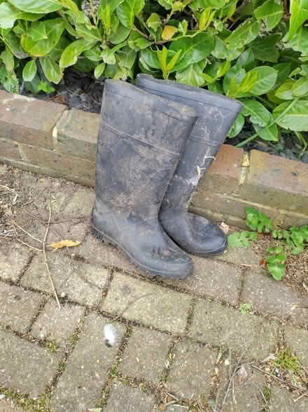 Photo of free Wellington boots (Gidea Park RM2) #1
