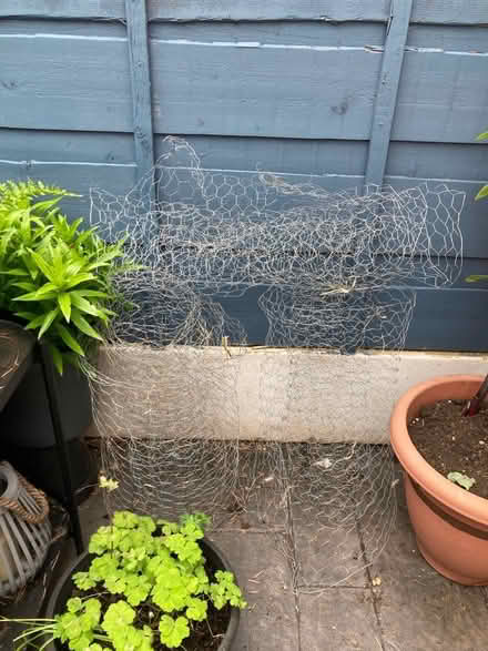 Photo of free Chicken wire, 3x pieces (Handforth, SK9) #2