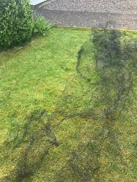 Photo of free Fruit and vegetable net protector (Penrith CA11) #3