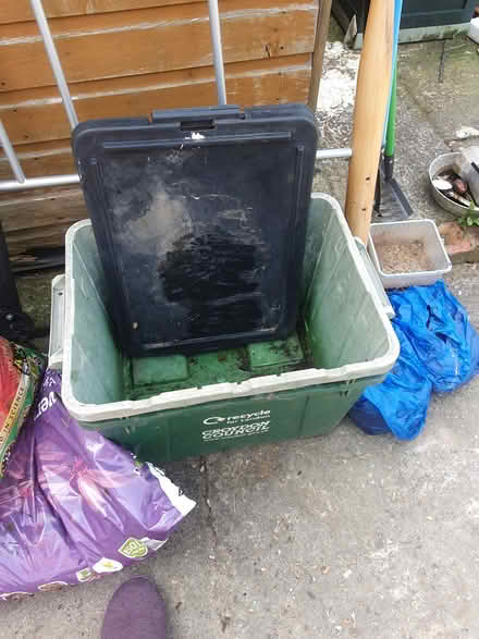 Photo of free Plastic storage boxes (Westgate-on-Sea, Kent, CT8) #1