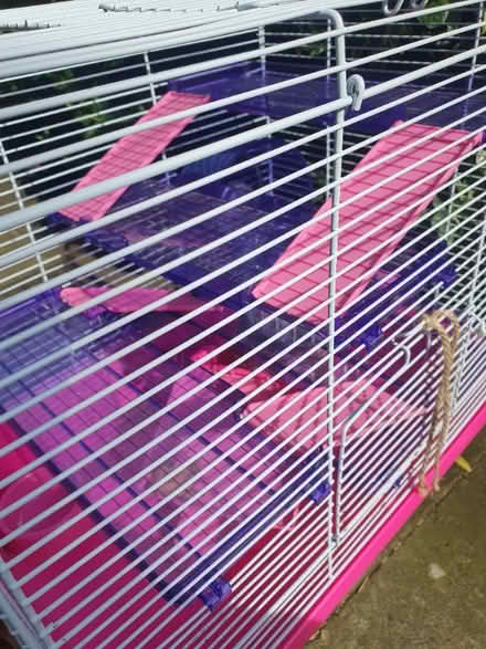 Photo of free Hamster double cage and accessories (North Road N7) #2