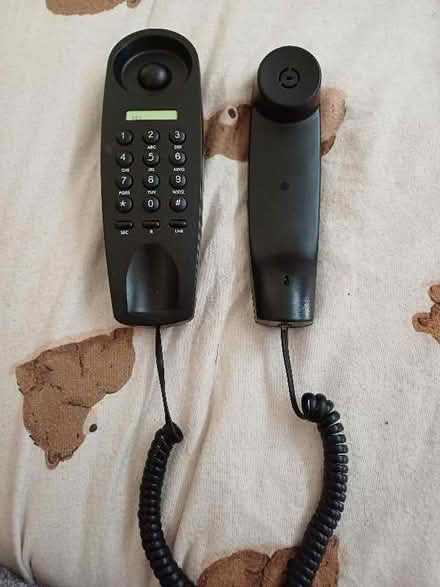 Photo of free Wall mounted corded telephone never been used (Marldon TQ3) #2