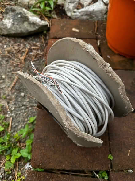Photo of free Ethernet cable (Kendal) #1