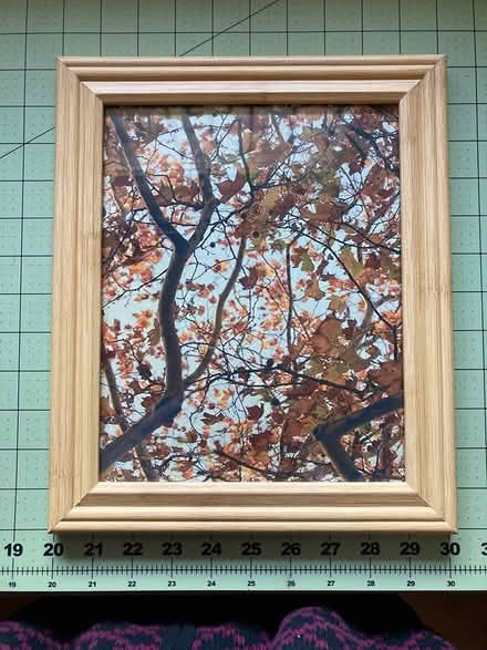 Photo of free 8x11 Picture Frame (Bath Beach, Brooklyn) #1