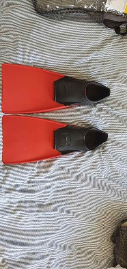 Photo of free Swimming fins (Crowmarsh (OX10)) #1