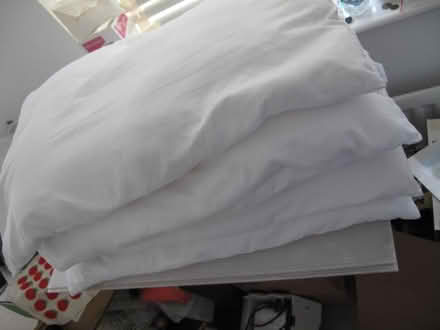 Photo of free Polyester pillows (Woodstock OX20) #1