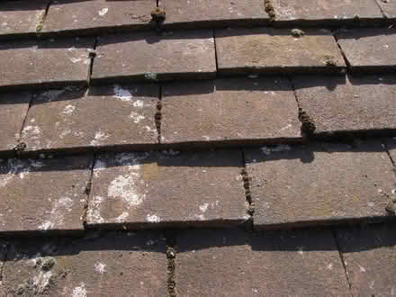 Photo of roof tiles (elmstead market CO7) #1