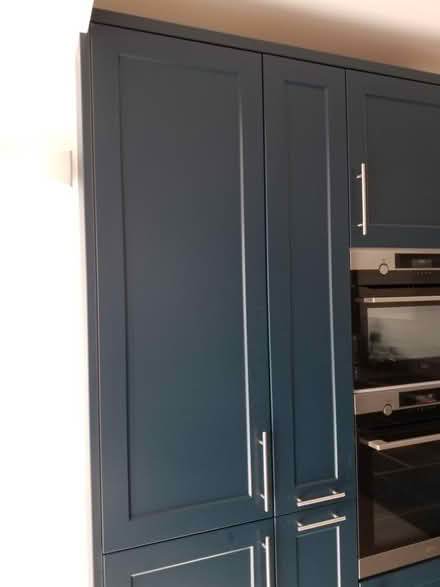 Photo of free Cupboard door - blue (Catford) #3