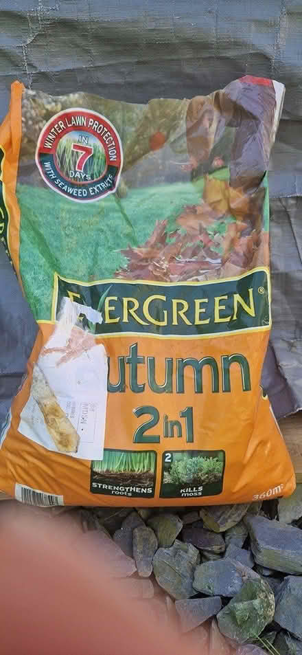 Photo of free Autumn evergreen lawn treatment (TN40 chantry Bexhill) #1