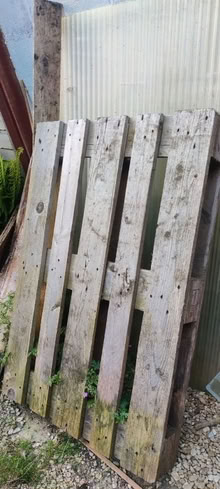 Photo of free 2 pallets (Iffley Road OX4) #1