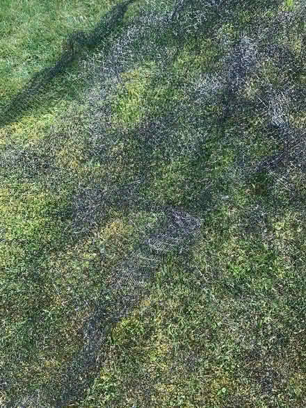 Photo of free Fruit and vegetable net protector (Penrith CA11) #2