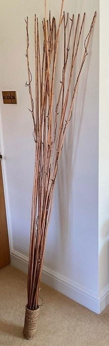 Photo of free Ornamental twigs (BN27) #1