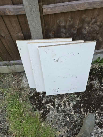 Photo of free Wood (St Albans) #1