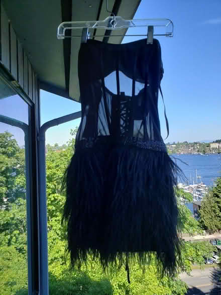Photo of free Bebe XS small feather dress (Dexter Ave near Frmt bridge) #1