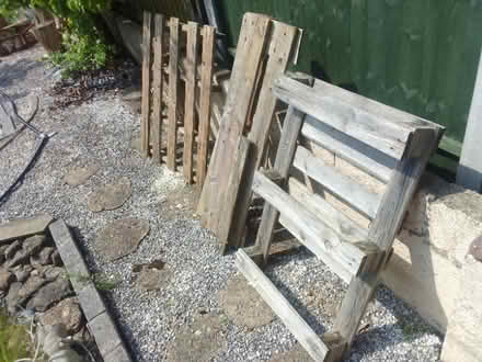 Photo of free Pallet wood (Old Walcot SN3) #3