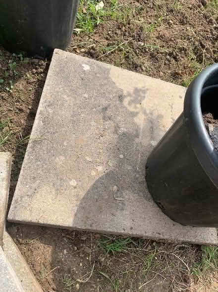 Photo of free One paving slab -Must go today (Woodley RG5) #1