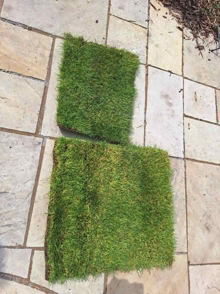 Photo of free Pieces of turf (Pemberton WN5) #1