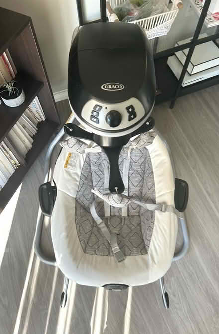 Photo of free Baby swing/bouncer (South Arlington) #4