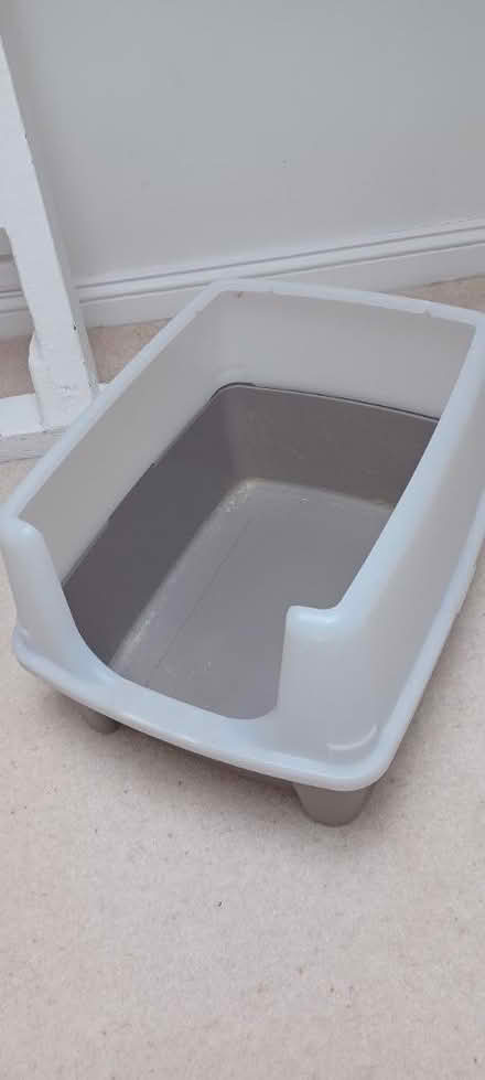 Photo of free Cat litter box. Good condition (Paddington W2) #1