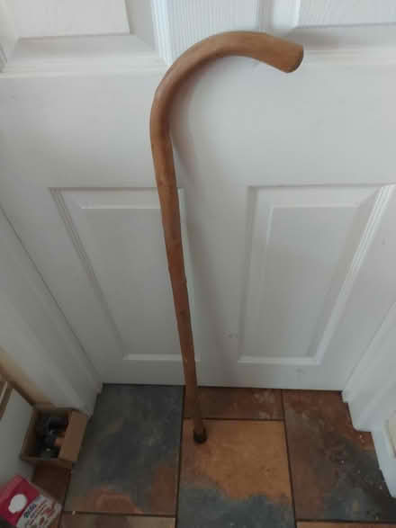 Photo of free Walking stick (harborne) #1