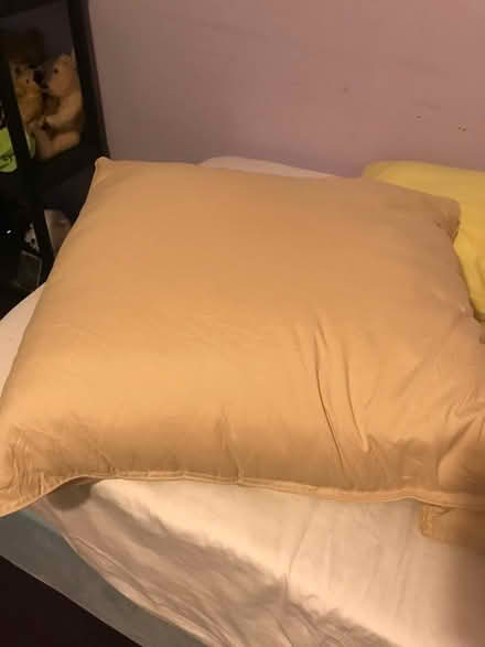 Photo of free plump Cusions 65x65 (Buckland TQ12) #2