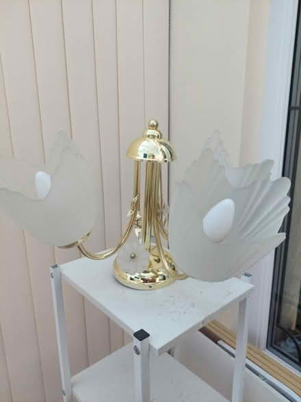 Photo of free 2x ceiling lights (SK11) #2