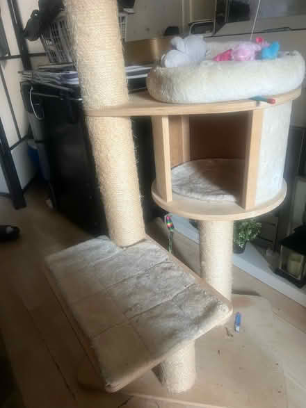 Photo of free Cat post (Yeading, Hayes UB4) #1