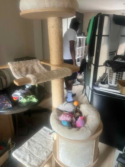 Photo of free Cat post (Yeading, Hayes UB4) #4