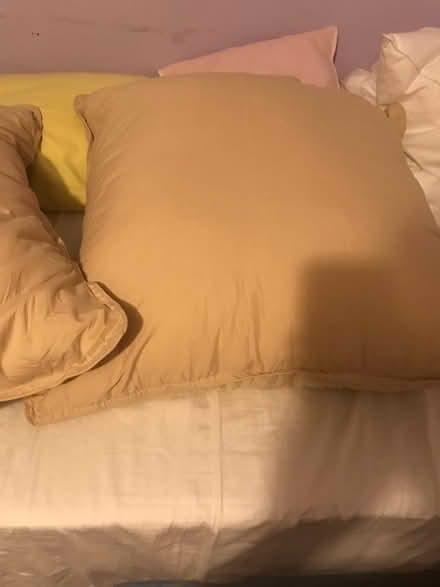 Photo of free plump Cusions 65x65 (Buckland TQ12) #1