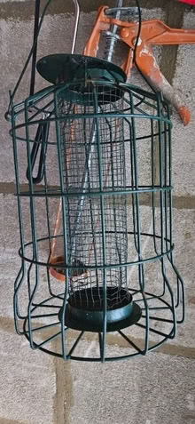 Photo of free Squirrel-Resistant Bird Feeder (CT10) #1