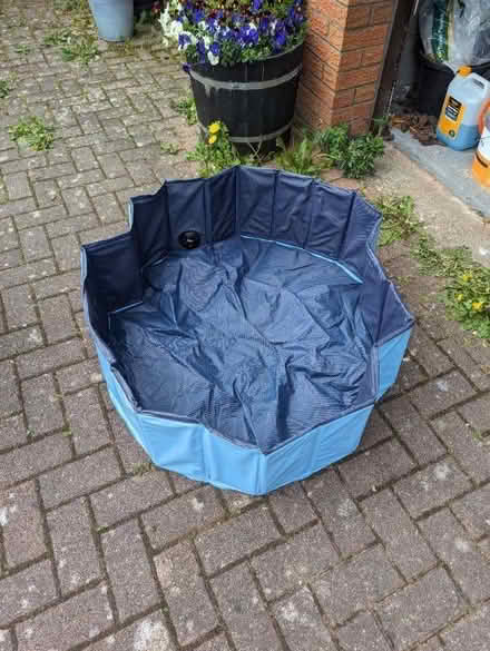 Photo of free Dog paddling pool (Southhouse EH17) #1