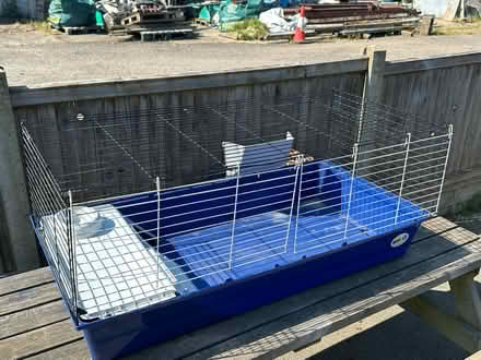 Photo of free Indoor Rabbit/Guinea pig cage (CT5) #2