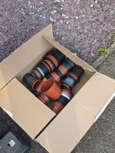 Photo of free Plant pots (Loughborough LE11) #1