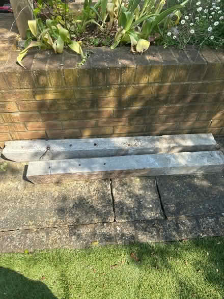 Photo of free Concrete fence posts (Twickenham) #1