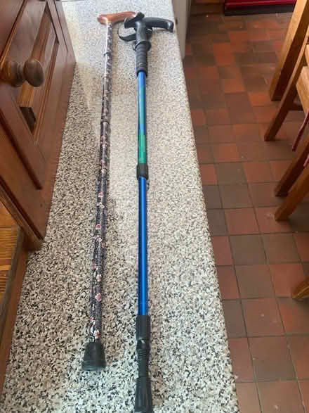 Photo of free Adjustable walking sticks (Wenvoe CF5) #1