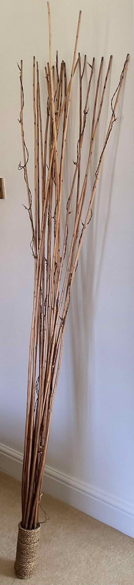Photo of free Ornamental twigs (BN27) #2