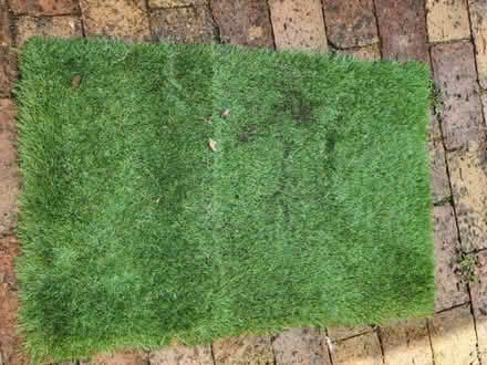 Photo of free Artificial grass mat (Higham Lane TN11) #1