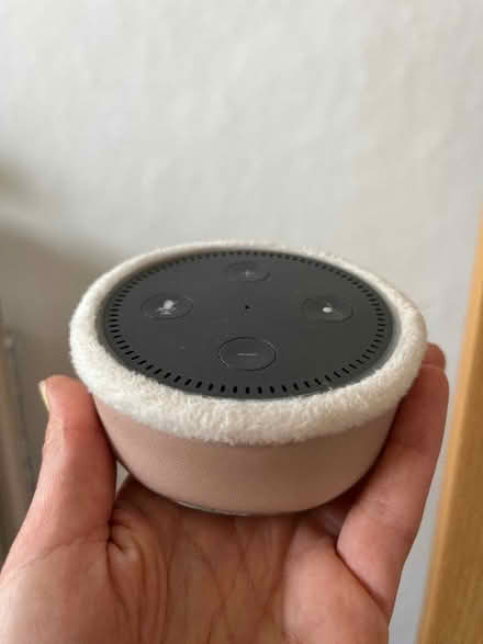 Photo of free Amazon Dot in case (Hillsborough S6) #1