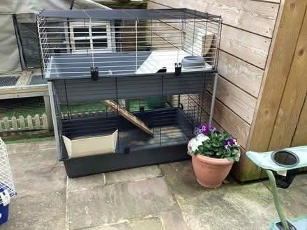 Photo of free Large guinea pig/ rabbit hutch (Harrogate HG1) #1