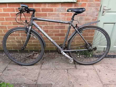 Photo of free Ridgeback Velocity 19" (Beeston NG9) #1